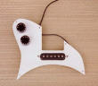 Pickguard.